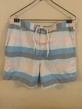 Men's Penguin Pastel Striped Swim Trunks - Blue, Pink, Gray